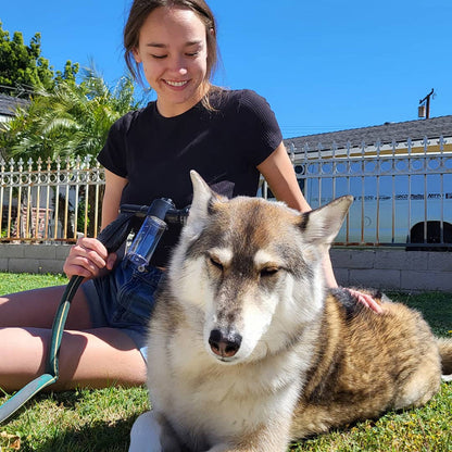 Jet original - La manera más rápida y fácil de bañar a tu perro